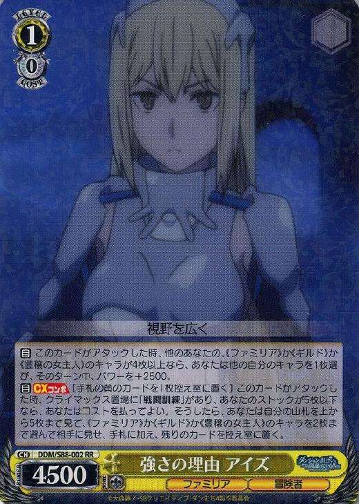 強さの理由 アイズ RR - 2