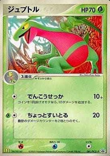 【ポケカ】ＰＲ◇ジュプトル 中古良品