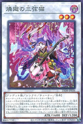 【遊戯王】ノーマルパラレル◇燐廻の三弦猫 キズなし買取