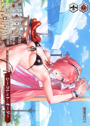 【ヴァイス】ＰＲ◇シークレット・オーダー[ノーマル仕様] 中古良品