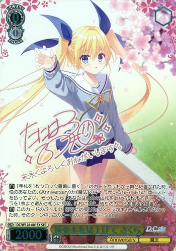 【ヴァイス】ＳＥＣ）サイン付◇桜並木を見上げて さくら 中古良品