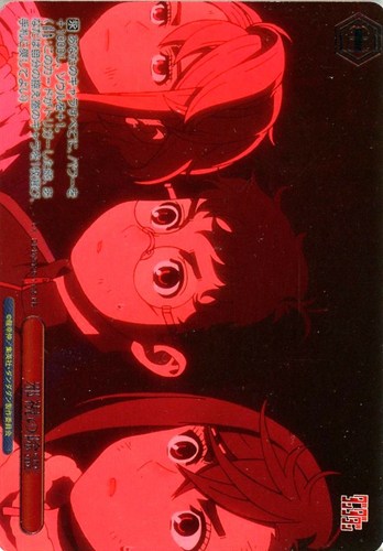 【ヴァイス】ＰＲ）箔押し◇邪視の除霊 中古良品