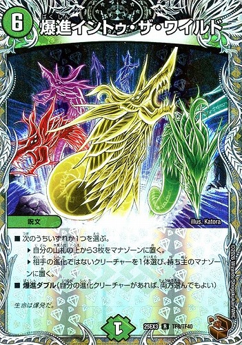 【デュエマ】レア）宝箱銅◇爆進イントゥ・ザ・ワイルド 中古良品