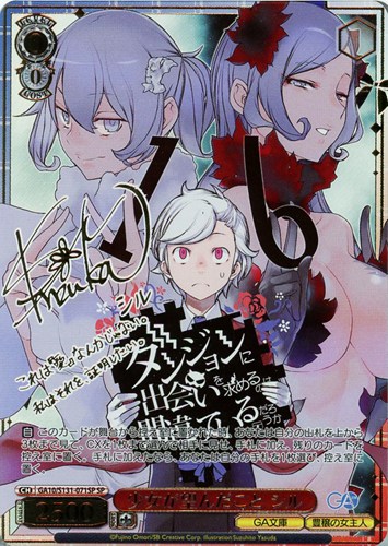 【ヴァイス】SP)サイン付◇少女が望んだこと シル 中古良品