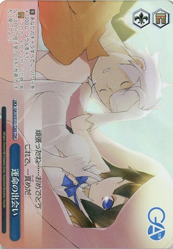 【ヴァイス】ＴＤＰ◇運命の出会い 中古良品