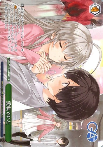 【ヴァイス】ＰＲ）ノーマル仕様◇愛執でいと 中古良品
