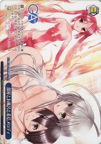 【ヴァイス】ＰＲ）ノーマル仕様◇部屋とお風呂と着信メロディ 中古良品