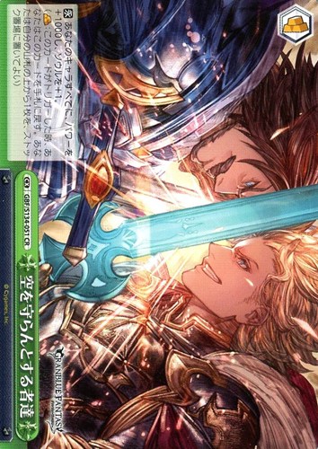 【ヴァイス】ＣＲ◇空を守らんとする者達 中古良品