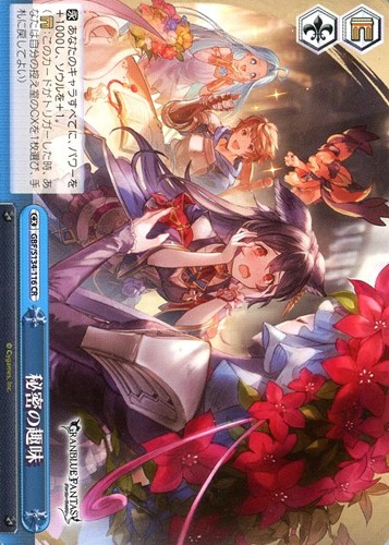 【ヴァイス】ＣＲ◇秘密の趣味 中古良品