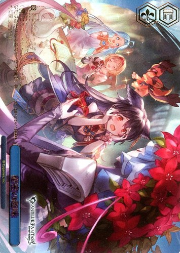 【ヴァイス】ＲＲＲ）箔押し◇秘密の趣味 中古良品