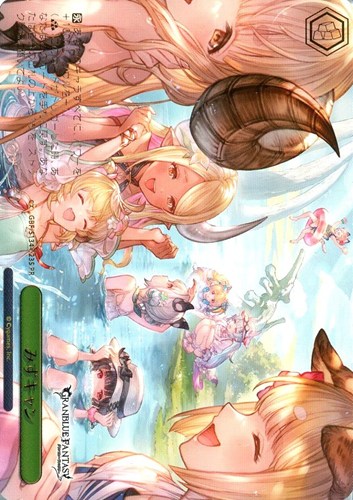 【ヴァイス】ＰＲ）箔押し◇みずキャン 中古良品
