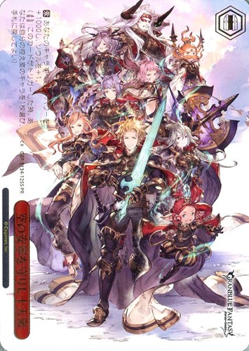 【ヴァイス】ＰＲ）箔押し◇空の安寧を守りし十天衆 中古良品