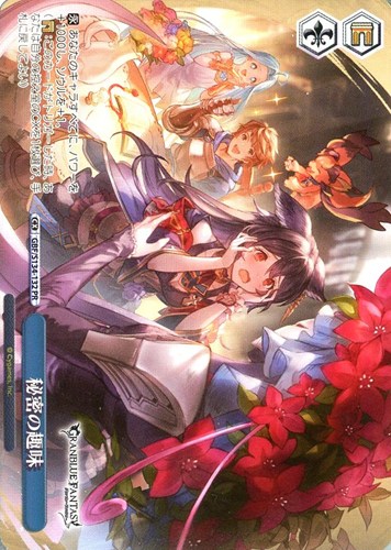 【ヴァイス】ＰＲ）ノーマル仕様◇秘密の趣味 中古良品