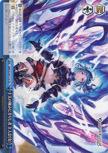 【ヴァイス】ＴＤ）ノーマル仕様◇十天の極みに至りし者 主人公(女) プレイ用