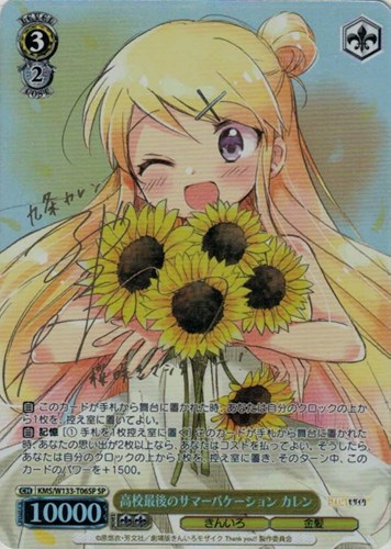 【ヴァイス】ＳＰ）サイン付◇高校最後のサマーバケーション カレン キズなし買取