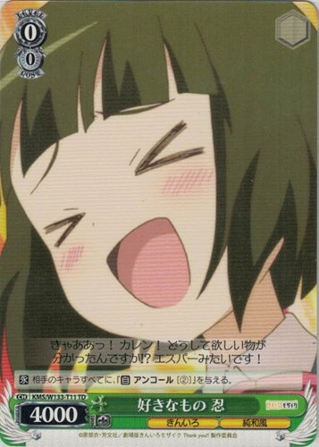 【ヴァイス】ＴＤ◇好きなもの 忍 プレイ用