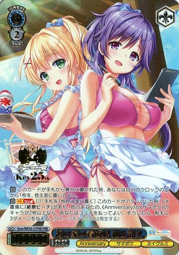 【ヴァイス】ＰＲＲ）箔押し◇海の家の看板娘 紬＆静久 キズなし買取