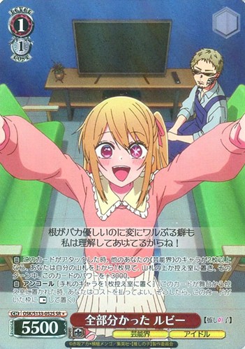 【ヴァイス】ＳＲ◇全部分かった ルビー 中古良品