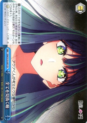 【ヴァイス】ＣＲ◇全てを見抜く瞳 中古良品