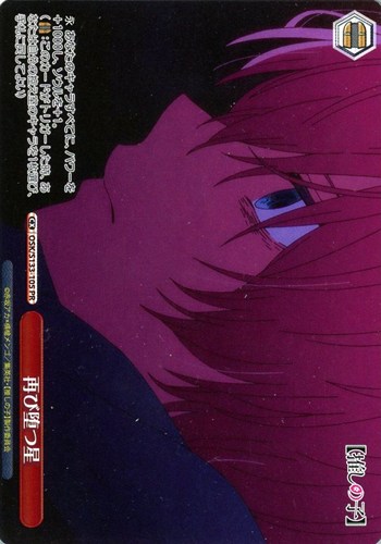 【ヴァイス】ＰＲ◇再び堕つ星[ノーマル仕様] 中古良品