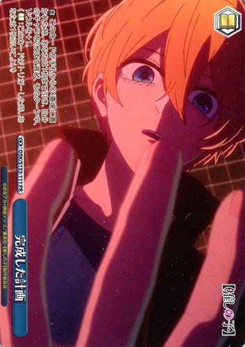 【ヴァイス】ＰＲ◇完成した計画[ノーマル仕様] 中古良品