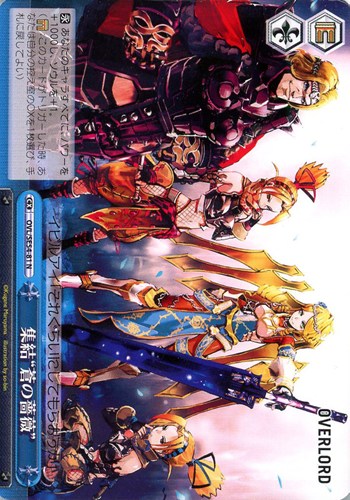 【ヴァイス】Ｎ◇集結“蒼の薔薇” プレイ用