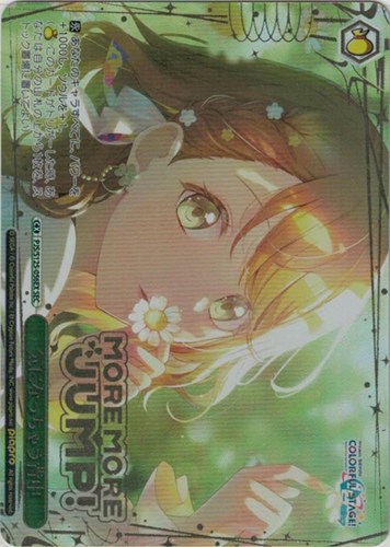 【ヴァイス】ＳＥＣ）箔押し◇気になっちゃう背中 キズなし買取