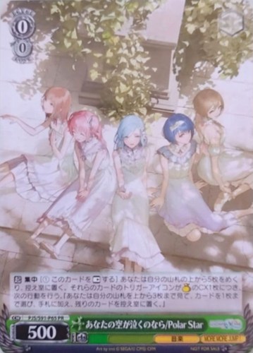 【ヴァイス】PR◇あなたの空が泣くのなら/Polar Star キズなし買取