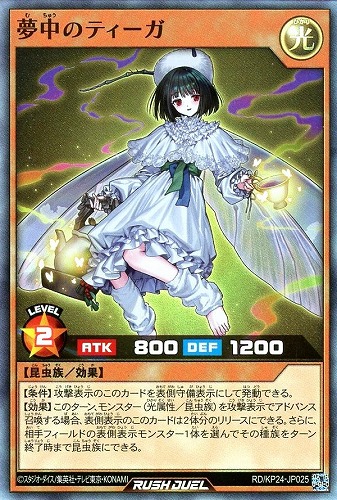 【遊戯王ＲＤ】スーパーレア◇夢中のティーガ 中古良品