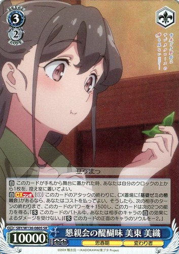 【ヴァイス】ＳＲ◇懇親会の醍醐味 美東 美織 キズなし買取