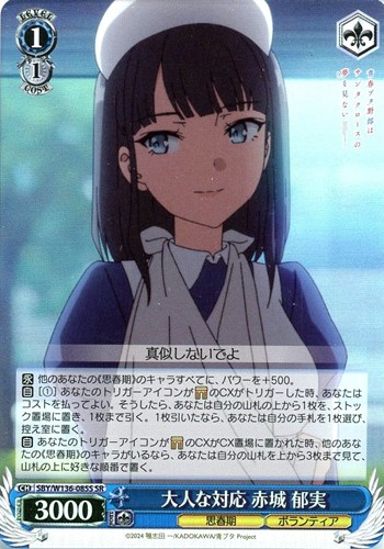 【ヴァイス】ＳＲ◇大人な対応 赤城 郁実 中古良品