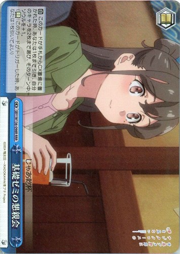 【ヴァイス】ＲＲＲ◇基礎ゼミの懇親会 中古良品