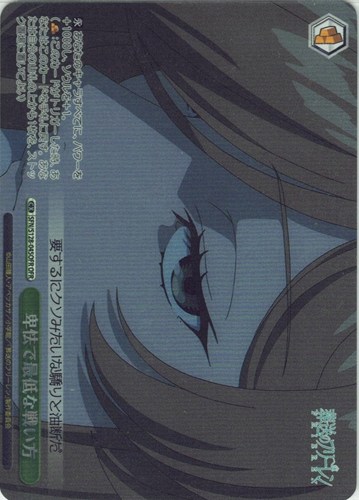 【ヴァイス】ＯＦＲ◇卑怯で最低な戦い方 キズなし買取