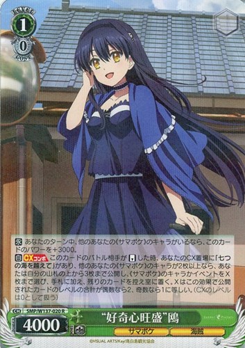 【ヴァイス】Ｒ◇“好奇心旺盛”鴎 中古良品