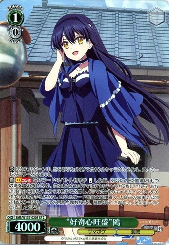 【ヴァイス】ＳＲ◇“好奇心旺盛”鴎 中古良品