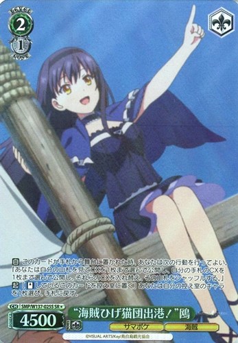 【ヴァイス】ＳＲ◇“海賊ひげ猫団出港！”鴎 中古良品