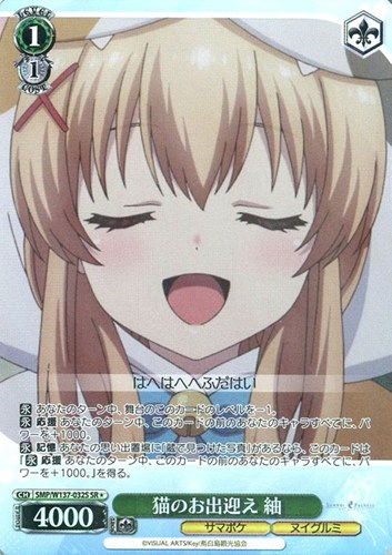 【ヴァイス】ＳＲ◇猫のお出迎え 紬 中古良品