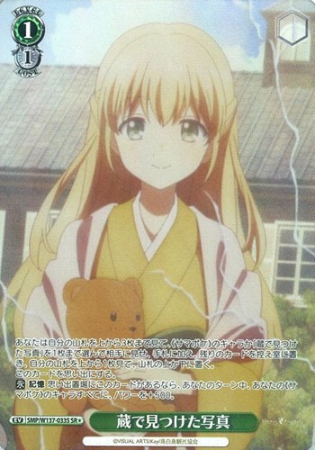 【ヴァイス】ＳＲ◇蔵で見つけた写真 中古良品