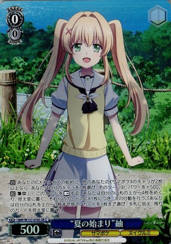 【ヴァイス】ＳＲ◇“夏の始まり”紬 中古良品