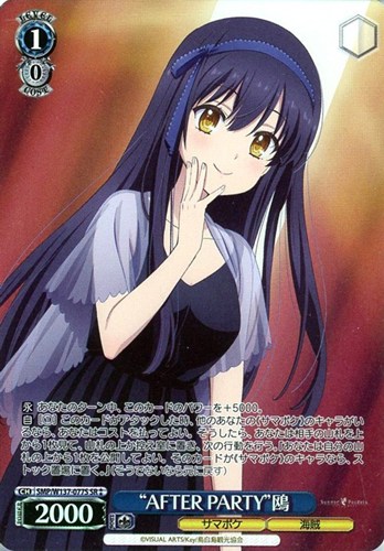 【ヴァイス】ＳＲ◇“AFTER PARTY”鴎 中古良品