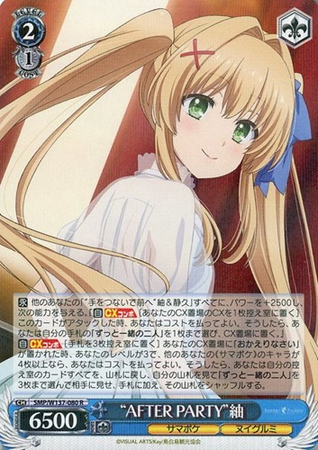 【ヴァイス】Ｒ◇“AFTER PARTY”紬 中古良品