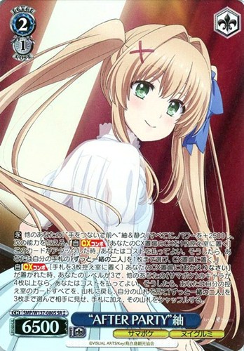 【ヴァイス】ＳＲ◇“AFTER PARTY”紬 中古良品