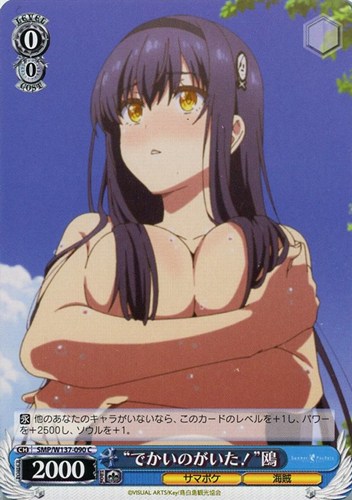 【ヴァイス】C◇“でかいのがいた!”鴎 プレイ用