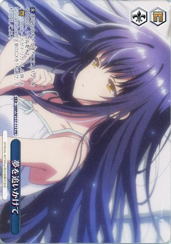 【ヴァイス】ＰＲ◇夢を追いかけて 中古良品