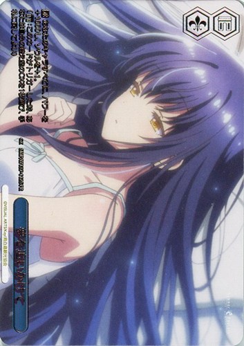 【ヴァイス】ＰＲ）箔押し◇夢を追いかけて 中古良品