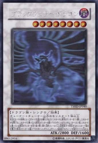 3年保証』 PSA10 ホロ 遊戯王 yu-gi-oh! ブラック・フェザー・ドラゴン 