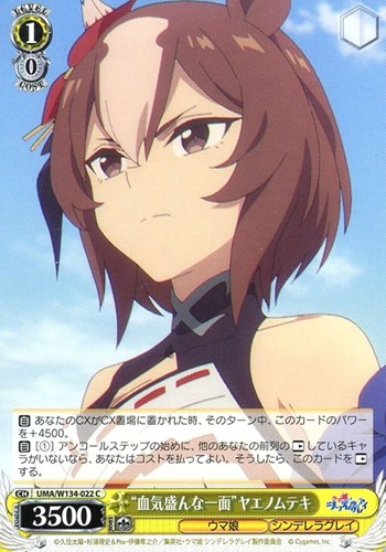 【ヴァイス】Ｃ◇“血気盛んな一面”ヤエノムテキ キズなし買取