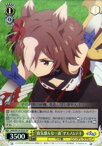 【ヴァイス】ＳＲ◇“血気盛んな一面”ヤエノムテキ キズなし買取