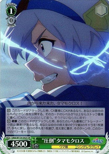 【ヴァイス】ＳＲ◇“圧倒”タマモクロス キズなし買取