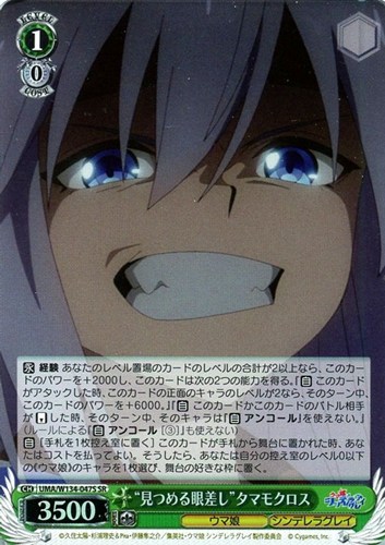 【ヴァイス】ＳＲ◇“見つめる眼差し”タマモクロス キズなし買取